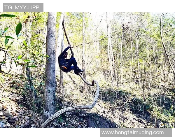 广州攀岩队战术表现数据分析揭示团队优势与改进空间