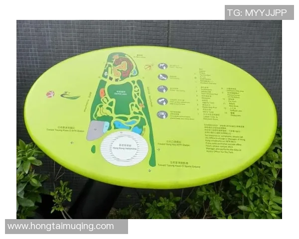 成都滑板队的灵活性探秘与训练方法分享