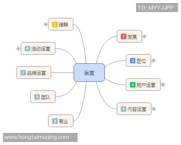 杭州网球队运营体系中的战术创新与实践探索