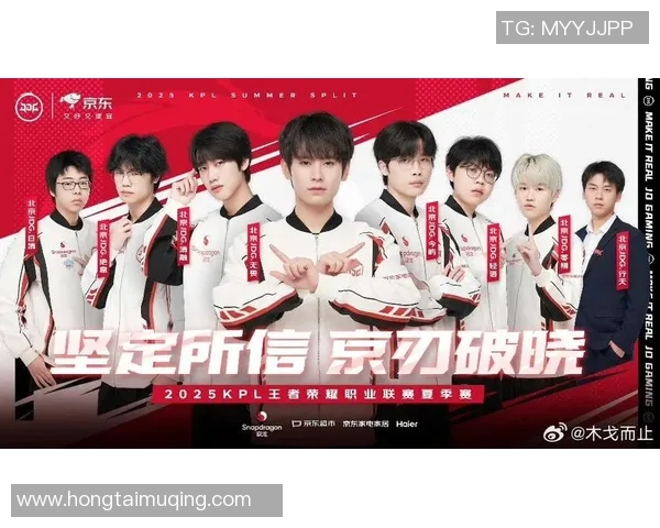 王者荣耀耐力排行榜揭晓JDG战队荣登第十名引发关注